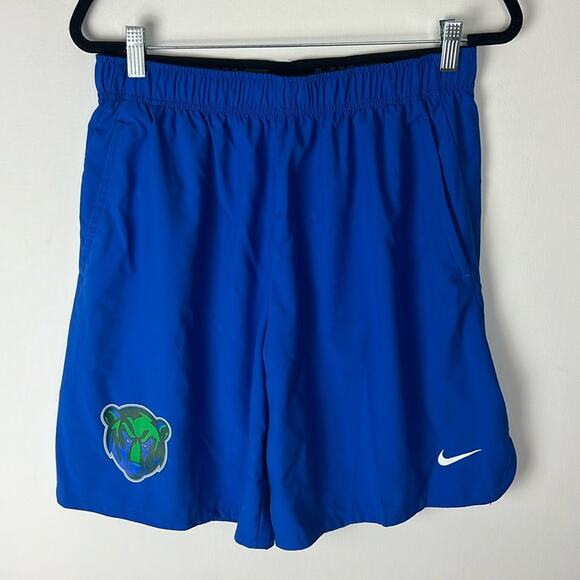 Nike Shorts - Men’s Large - Picture 1 of 5